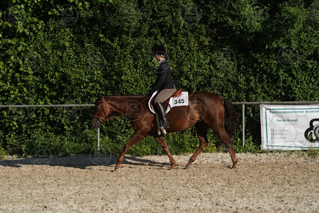 sA9K05997.JPG